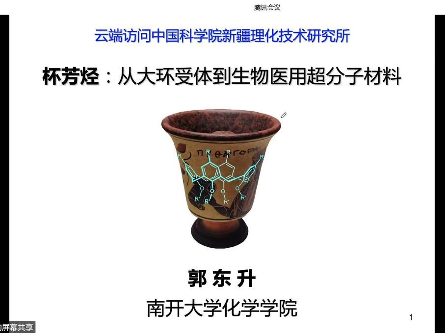 新疆理化所报告