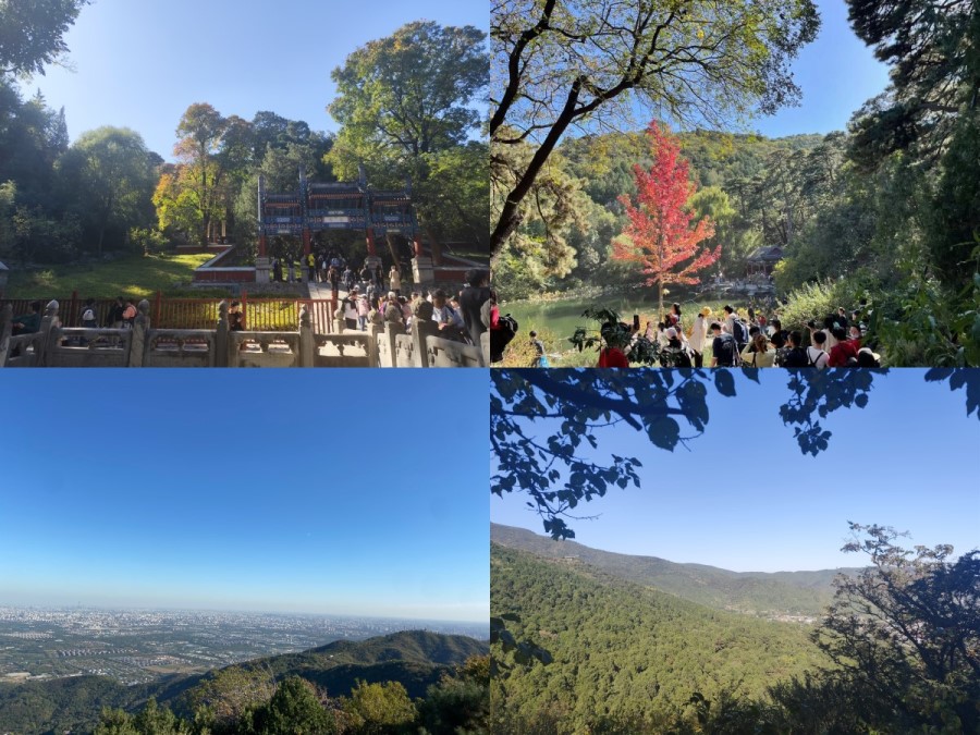 1021课题组活动日----香山赏秋