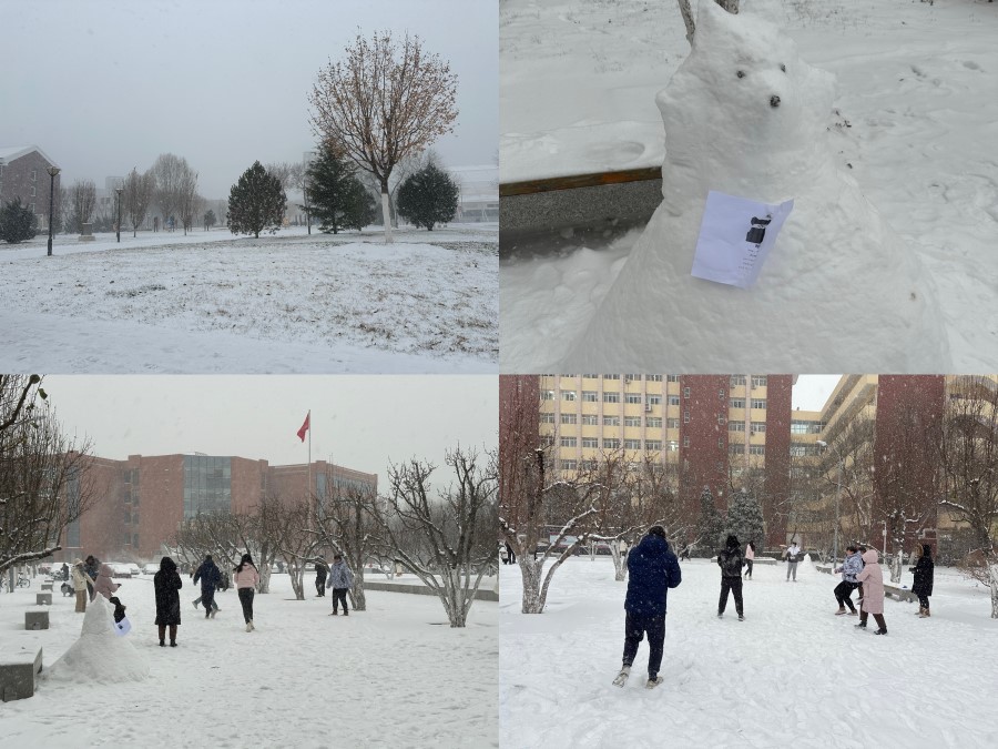 1214课题组活动日----雪中嬉戏