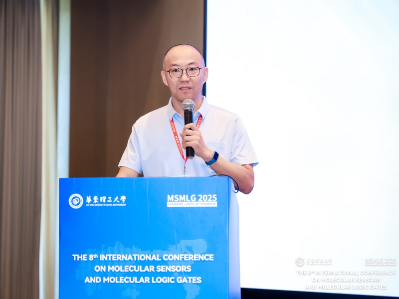 The 8th International Conference on Molecular Sensors and Molecular Logic Gates (MSMLG 2025)